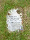 image of grave number 654928